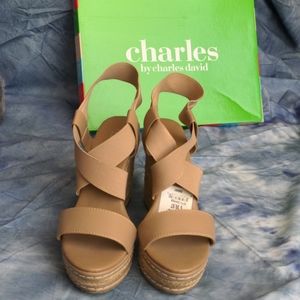 Charles David Wedges, 6